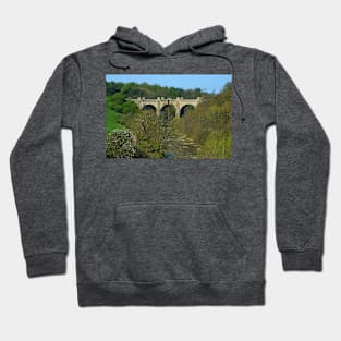 Linn's Mill Aqueduct II Hoodie